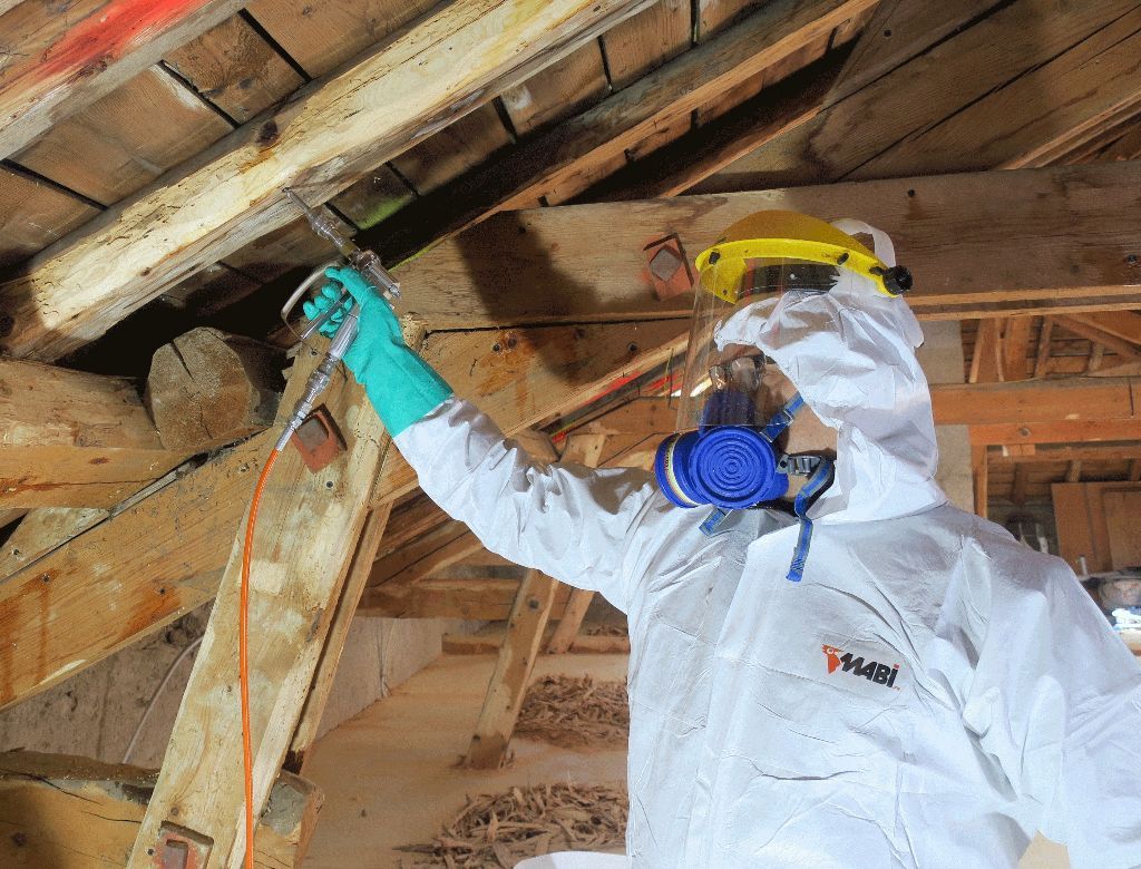 kit traitement de charpente injecteur pas cher traitement de bois